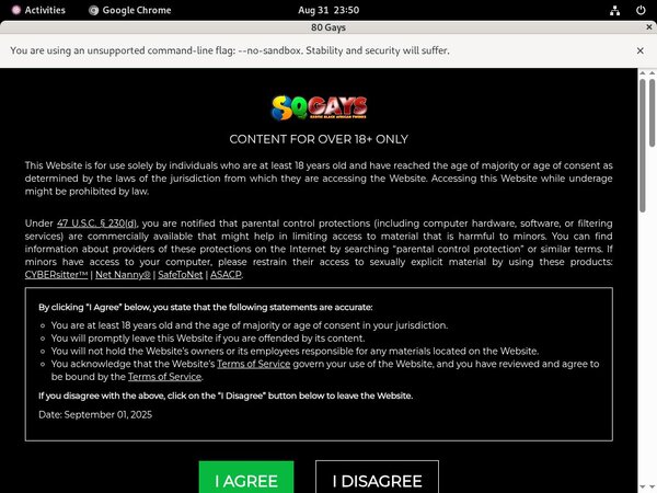 80 Gays Premium Logins