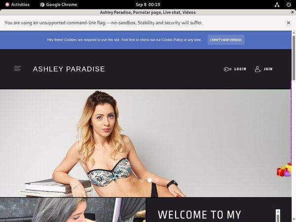 Ashley Paradise Website