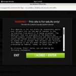 Ava Addams Biography