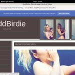 BaddBirdie Sconto