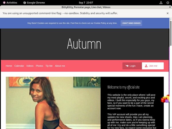 BittyKitty Take Paypal BittyKitty Take Paypal