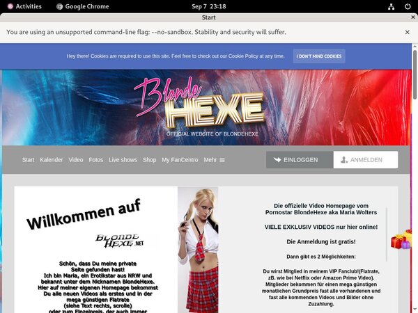 BlondeHexe Free Accounts And Passwords