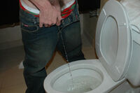 Boys-pissing.com Paypal s3