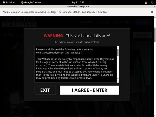 Collective Corruption Free Galleries