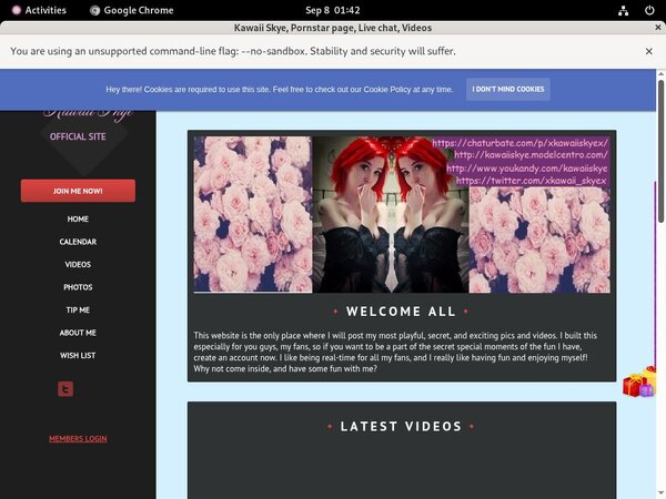 Discounts Kawaiiskye.modelcentro.com