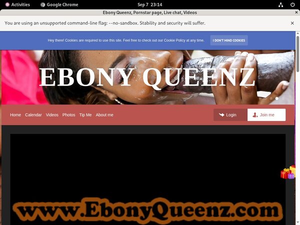 Ebony Queenz Kink