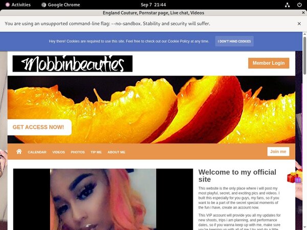 Englandcouture.modelcentro.com Working Passwords