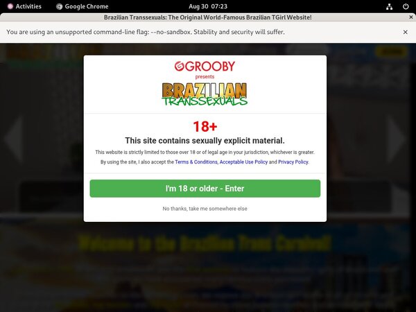 Free Braziliantranssexuals Premium Passwords