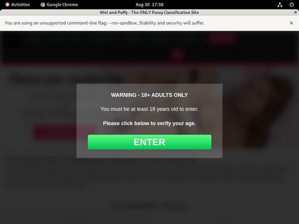 Free Login Wetandpuffy.com