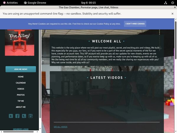 Free Thealleywynwood.modelcentro.com Passes