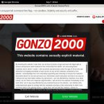 Gay Gonzo2000