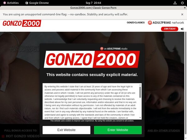 Gay Gonzo2000