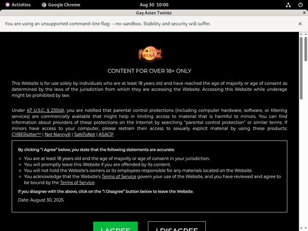 Gayasiantwinkz.com Bypass