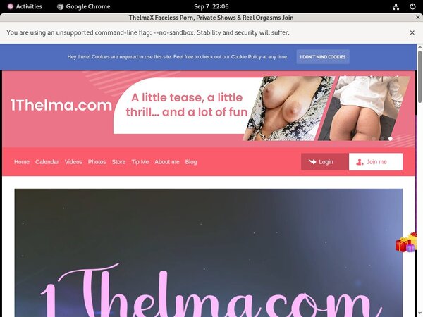 Get 1thelma.com Free Login