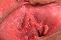 Get Gapemypussy.com Day Trial s3