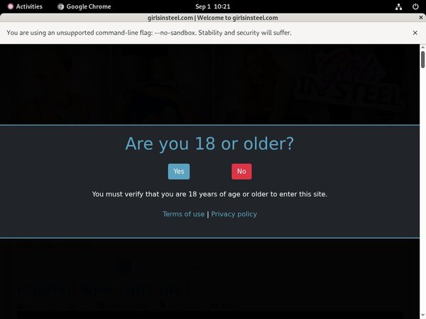 Girls In Steel Password 2018