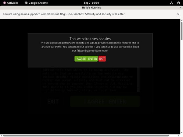 Hollyshunnies Website