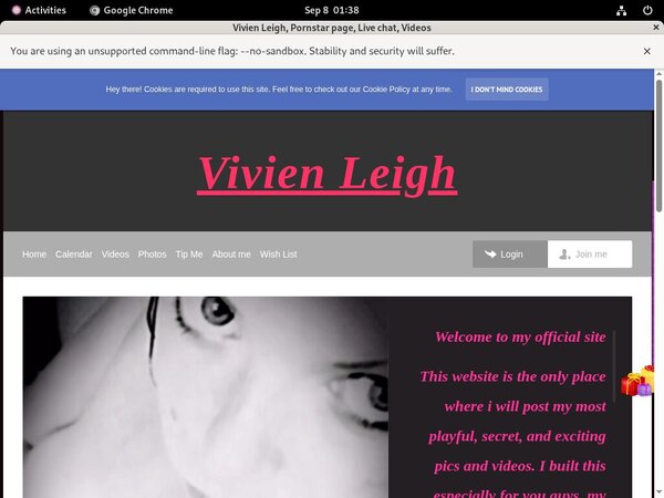 How To Get A Free Vivienleighandme.modelcentro.com Account