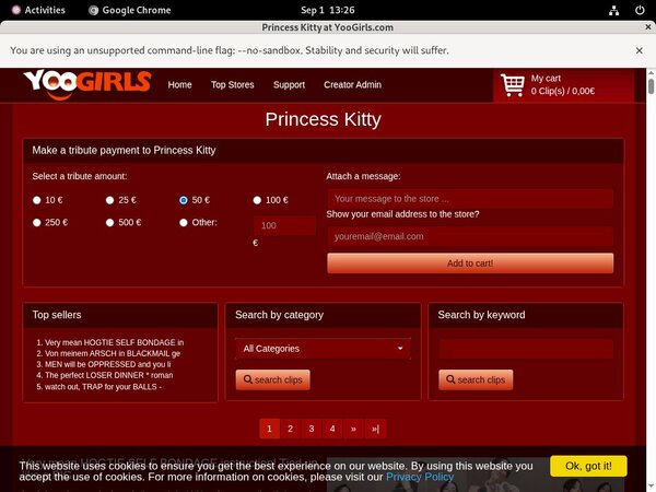 How To Get Into PrincessKitty Free How To Get Into PrincessKitty Free
