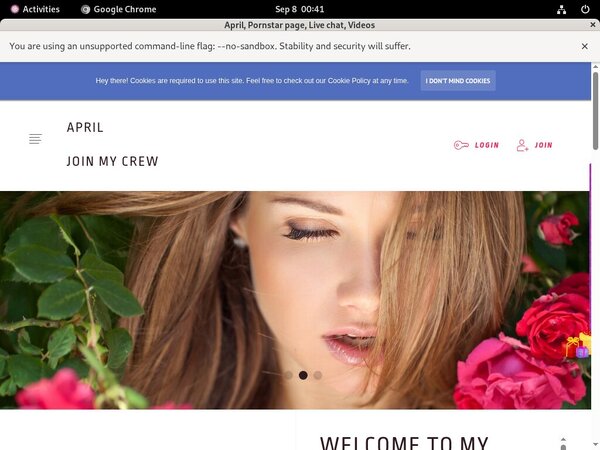 Ladyapril.modelcentro.com Promo Codes