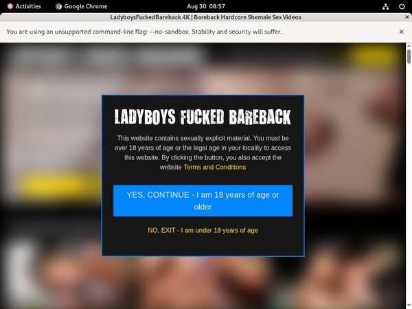Ladyboysfuckedbareback.com With European Credit Card