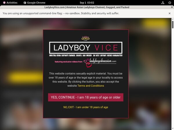 Ladyboyvice.com Join By EU Debit