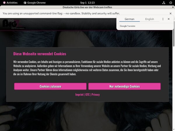 Lanagiselle.tv Working Account