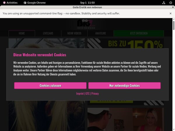 LindaKiss.com Checkout Page