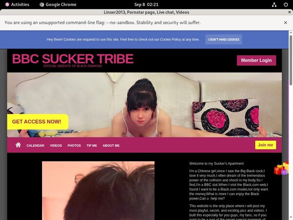 Linxer2013.modelcentro.com With Yen