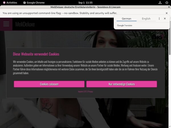 Melideluxe.com Automatische Incasso