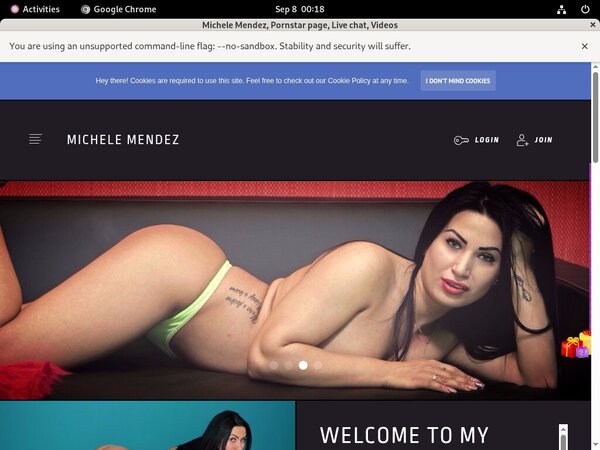 Michele Mendez Hacked Accounts