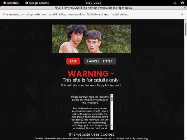 Nastytwinks.com Download