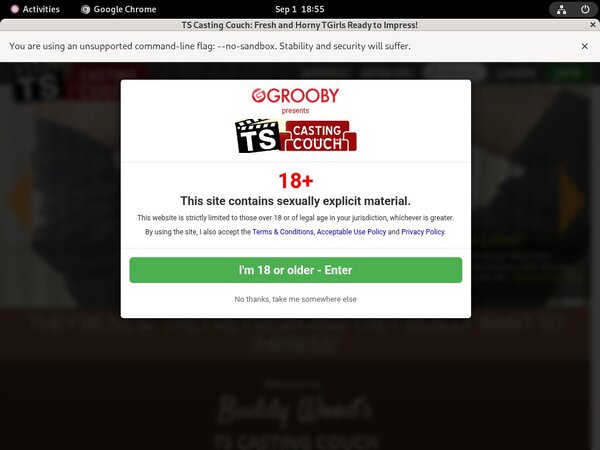 Premium Ts-castingcouch.com Accounts