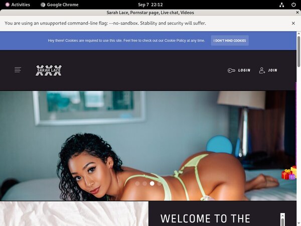 Sarah Lace Premium Free