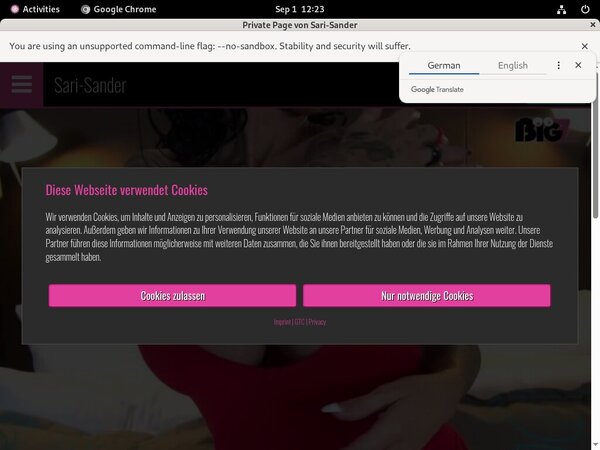Sari Sander Free Trial Subscription