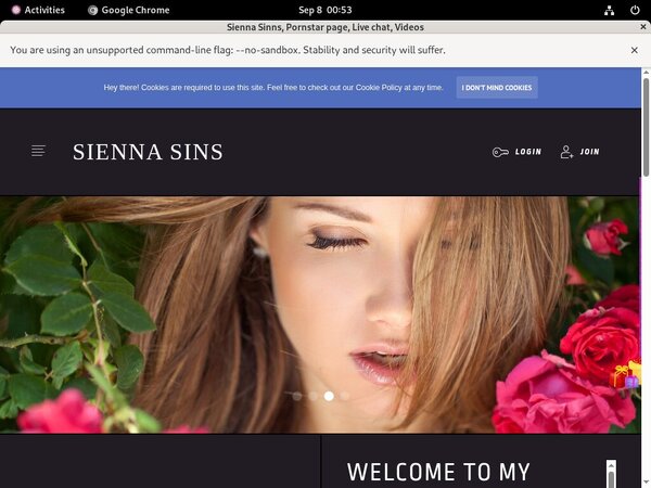 SiennaSinns Web Site