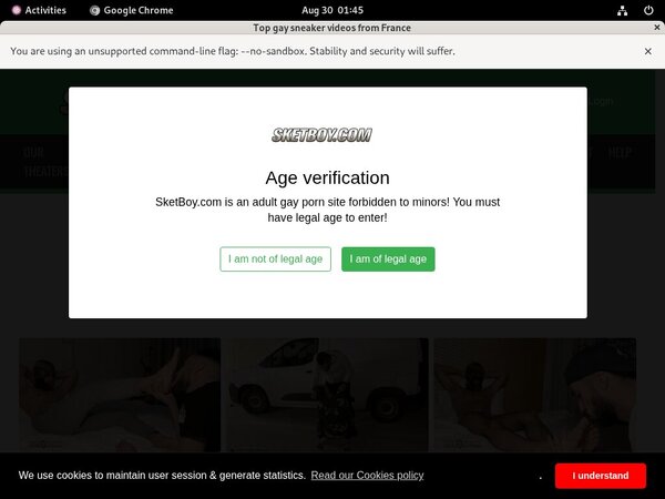 Sketboy.com Password Info