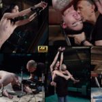 Subspace Land Free Collection Subspace Land Free Collection