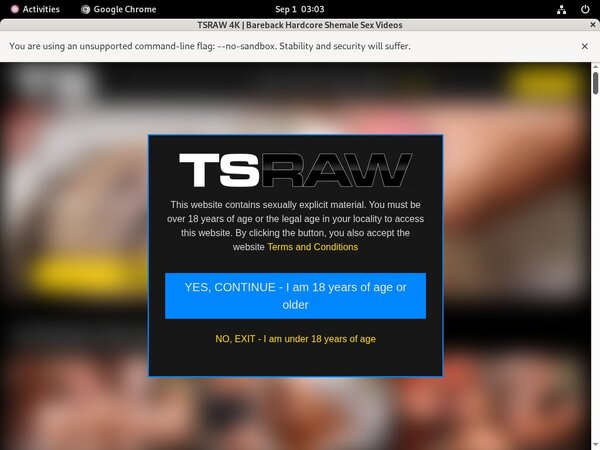 TS Raw Password Info