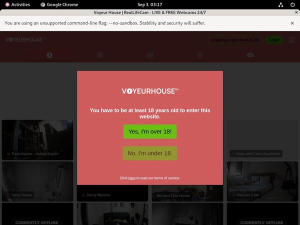 Voyeurhouse.com Gay Videos