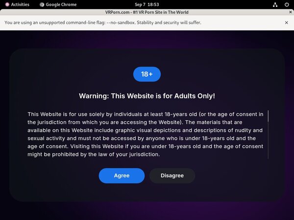 Vrporn.com Account Logins