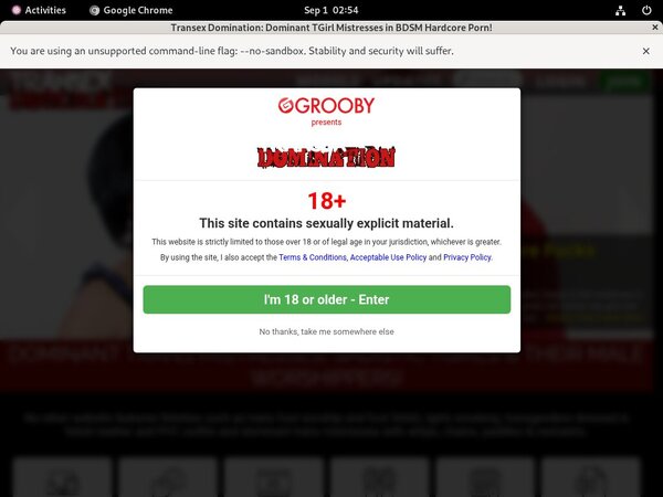 ?sex Transex Domination