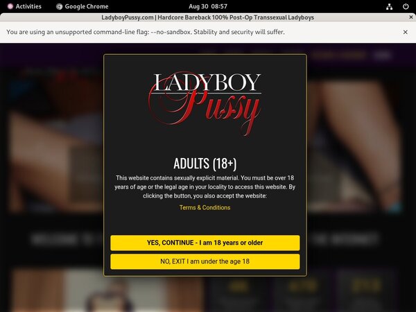 Free Ladyboypussy.com Password Account Free Ladyboypussy.com Password Account